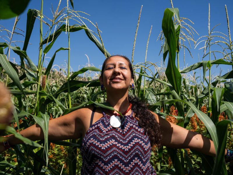 People Of The Corn Mad Agriculture Regenerative Farming