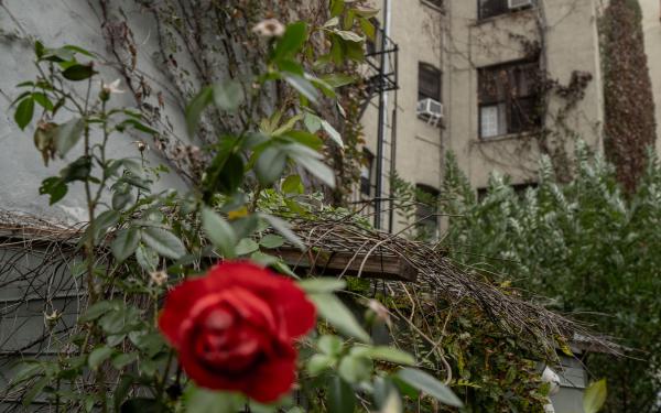 251019 madagjournal 0209