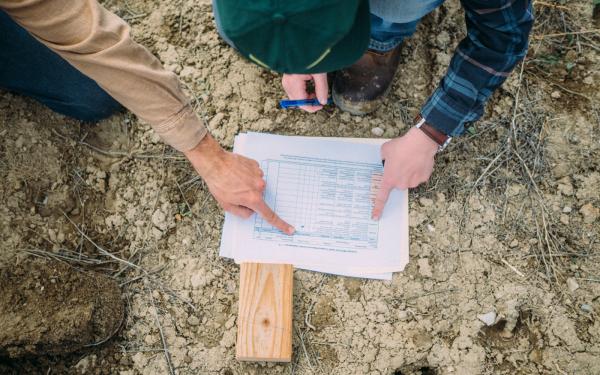 mad agriculture soil sample 1.JPG