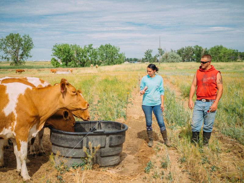 Devriendt Farm Degroot Dairy • Mad Agriculture • Regenerative Farming