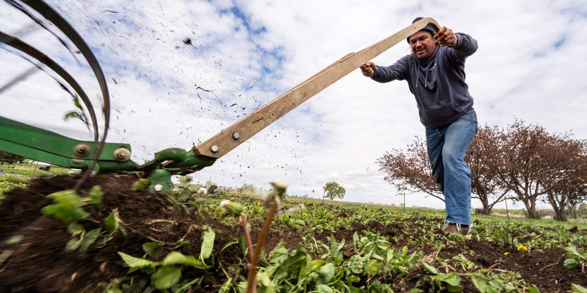 Haystack Farms Field Day • Mad Agriculture • Regenerative Farming