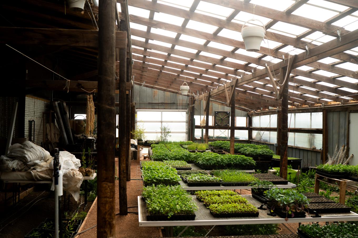 250509 treehousecollective 0749