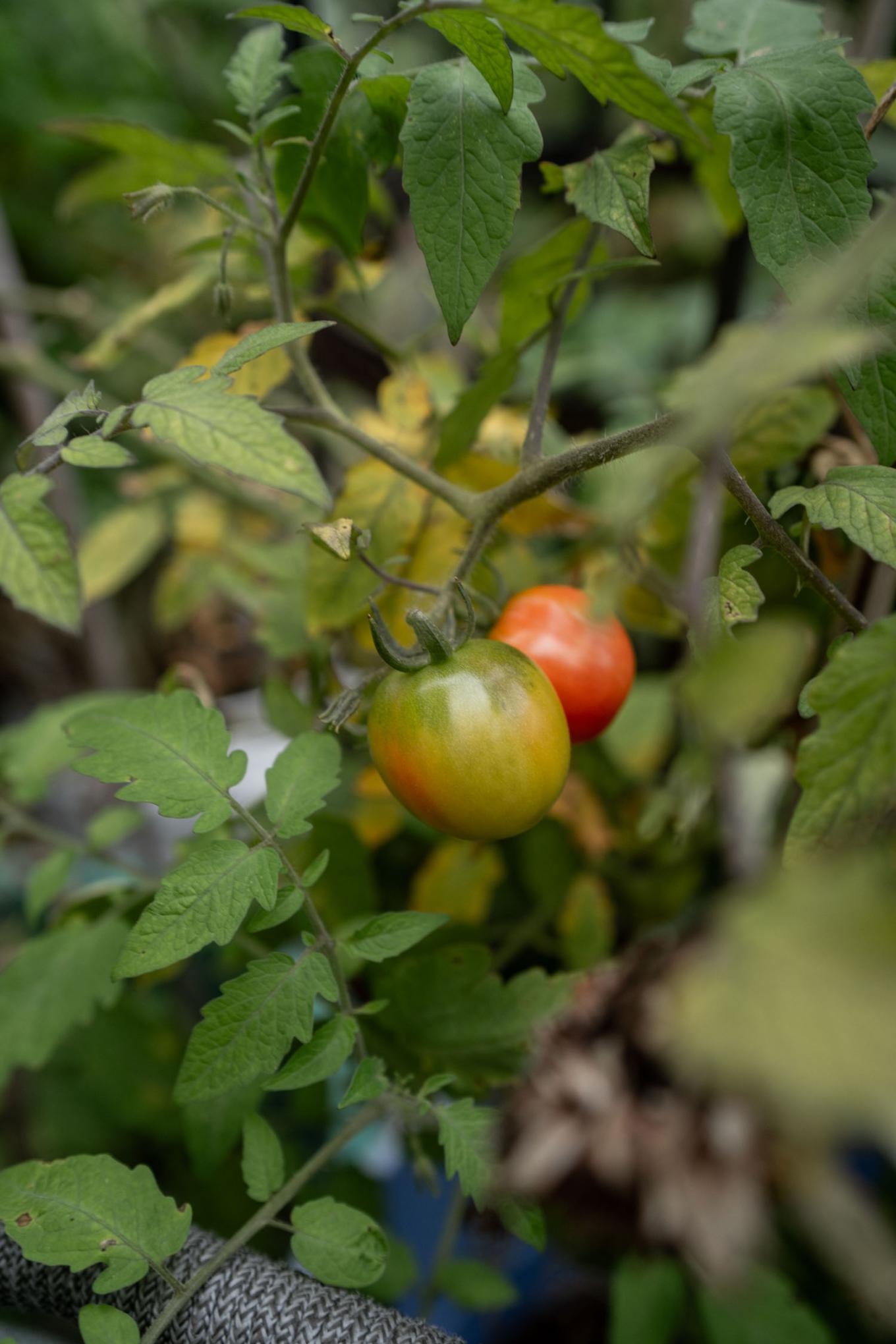 251019 madagjournal 0085