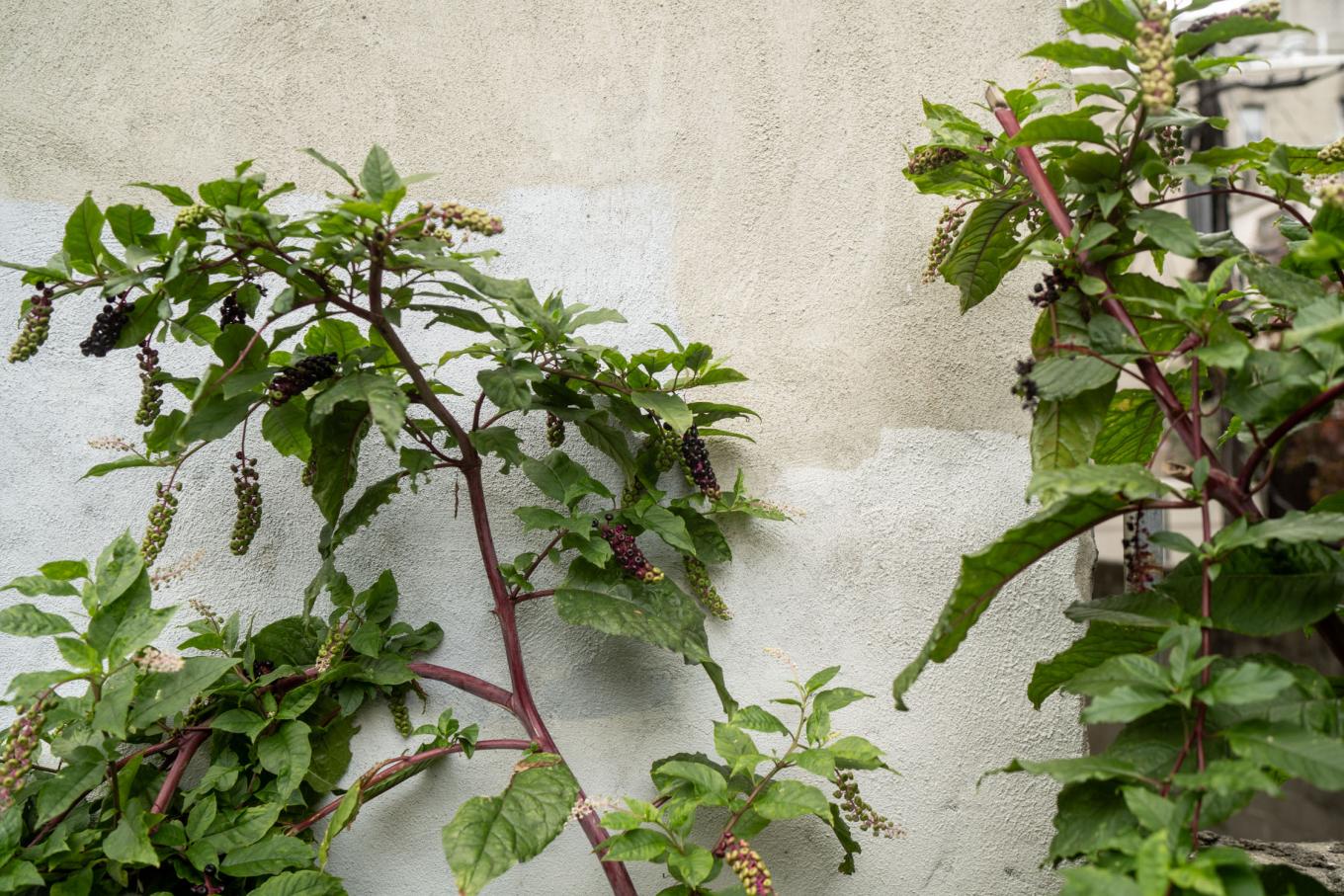 251019 madagjournal 0086