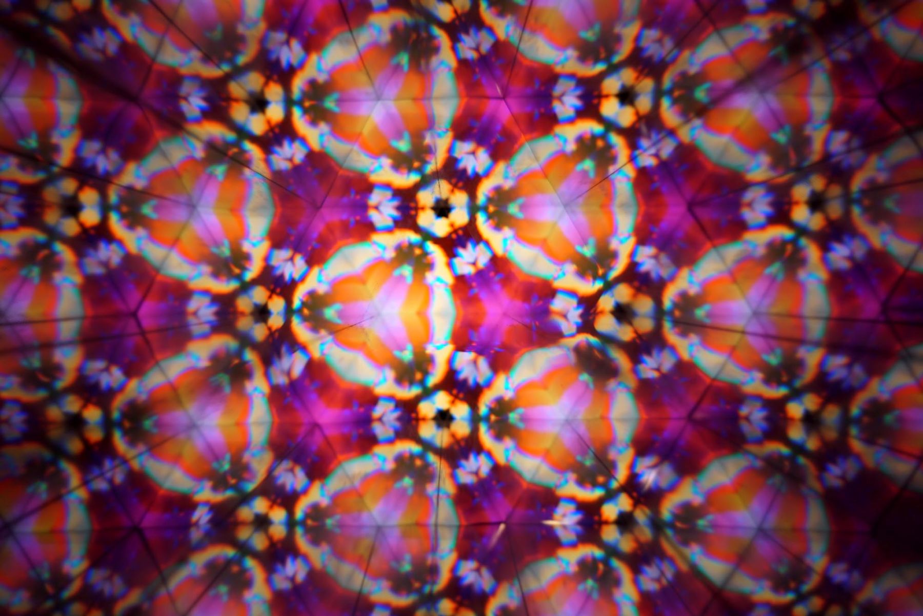 transformation-mad-agriculture-regenerative-farming