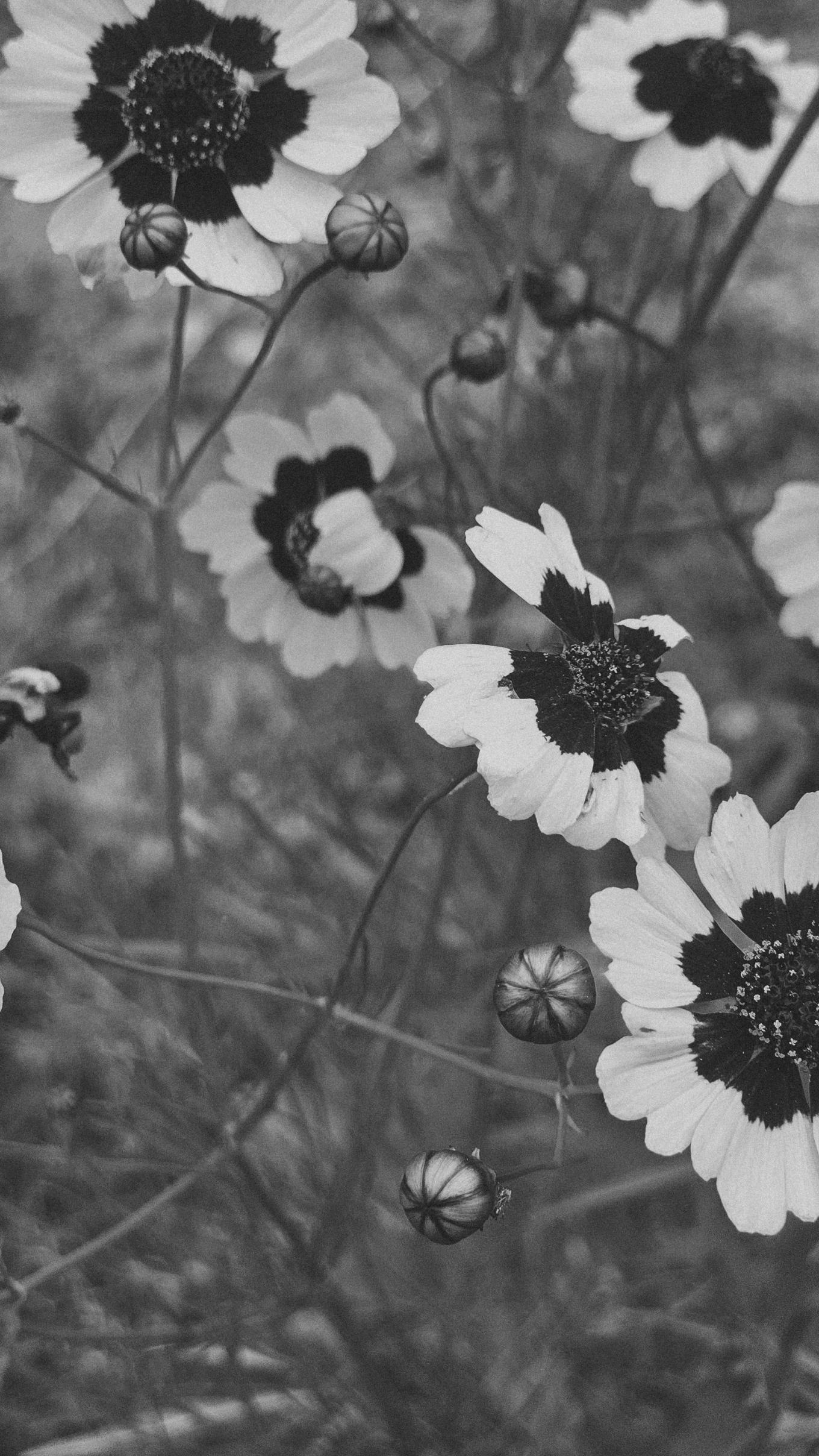 arina abbott cavagnero  27