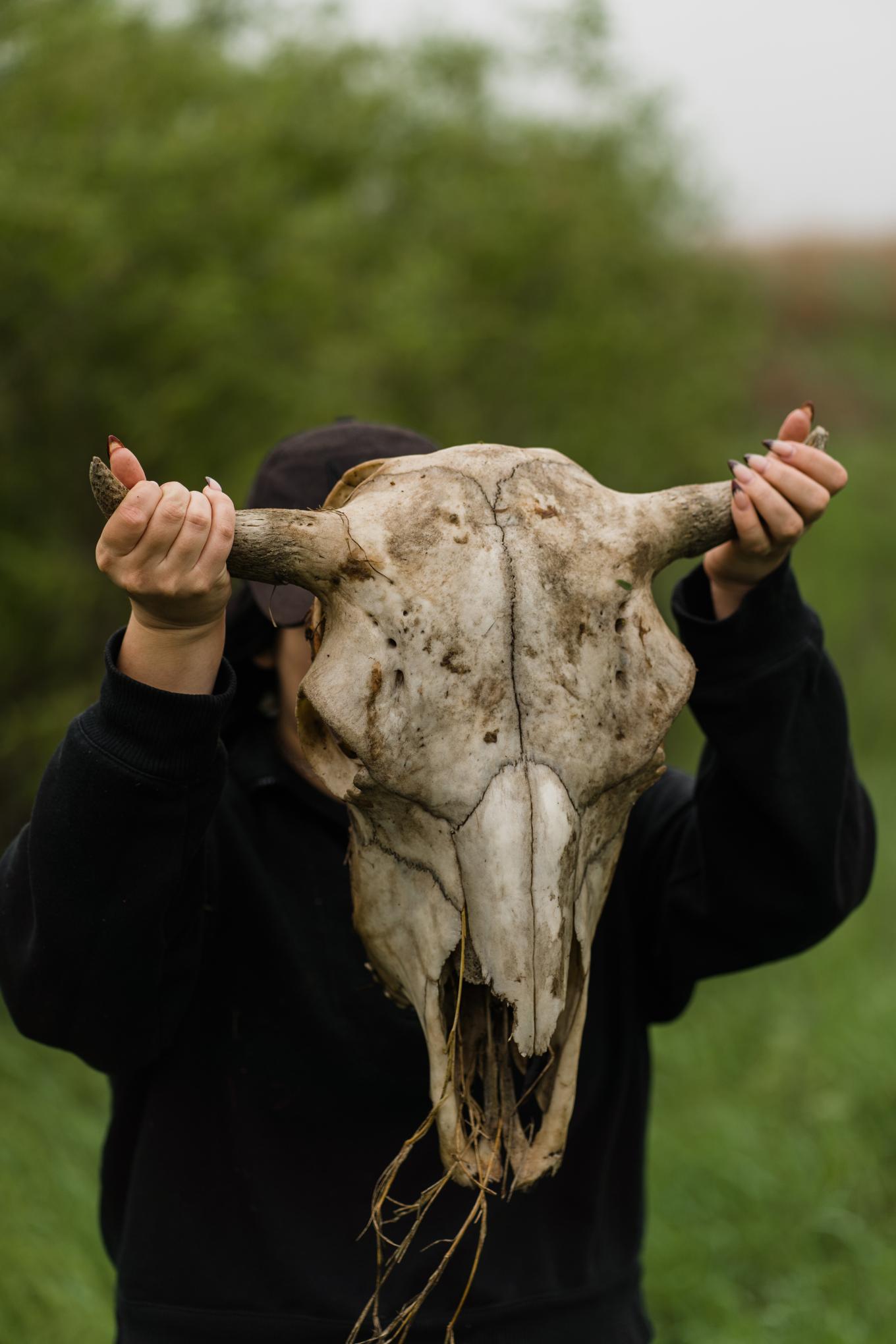 bison project april 2025 17