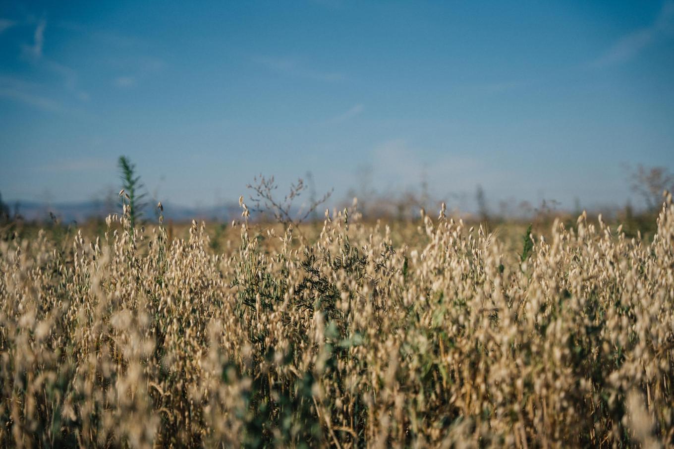 casad 2024 cavagnero 167