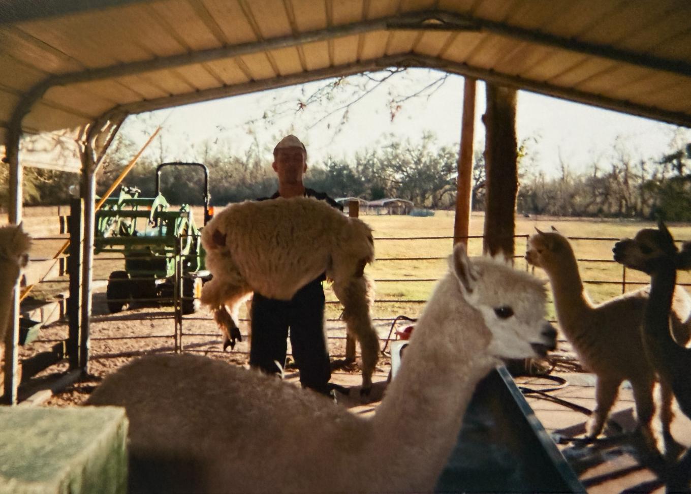 luke riversong shearing owner(1)