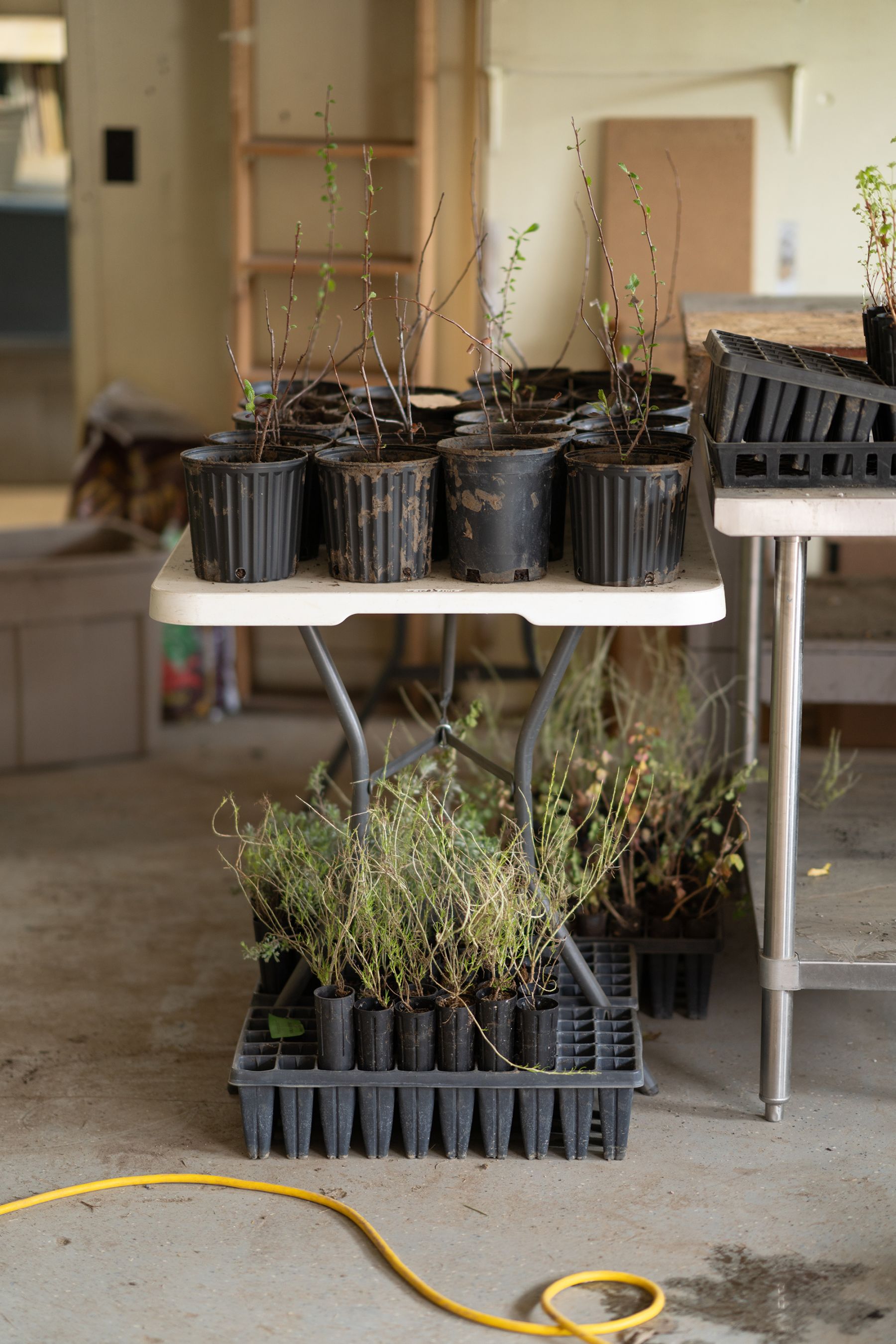 Haystack Farms Field Day • Mad Agriculture • Regenerative Farming