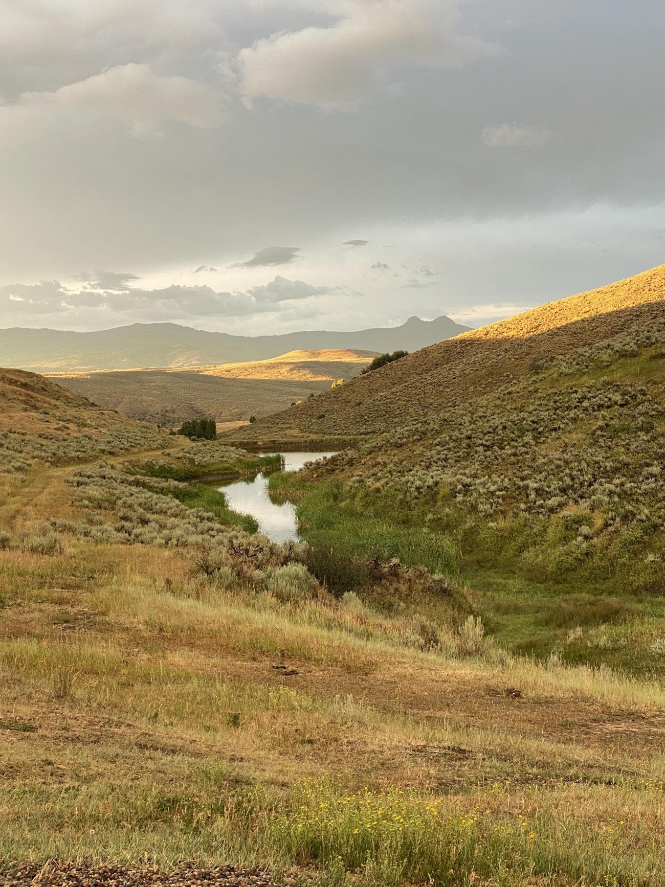 yampa valley mad ag 1.jpeg