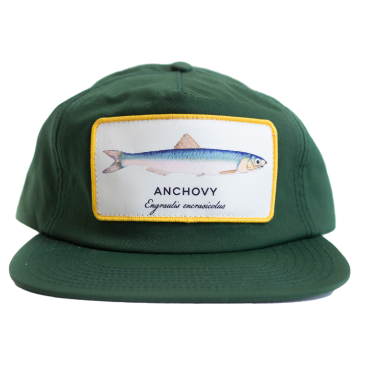 anchovy_green_003.png