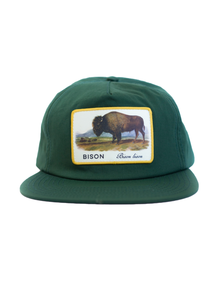 bison_green_0072.png