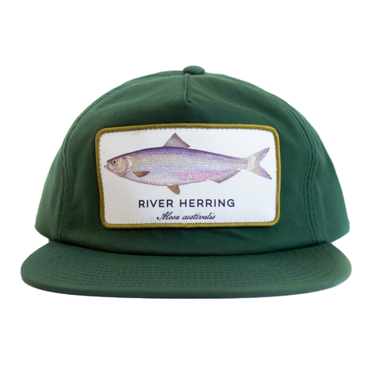 herring_green_006.png