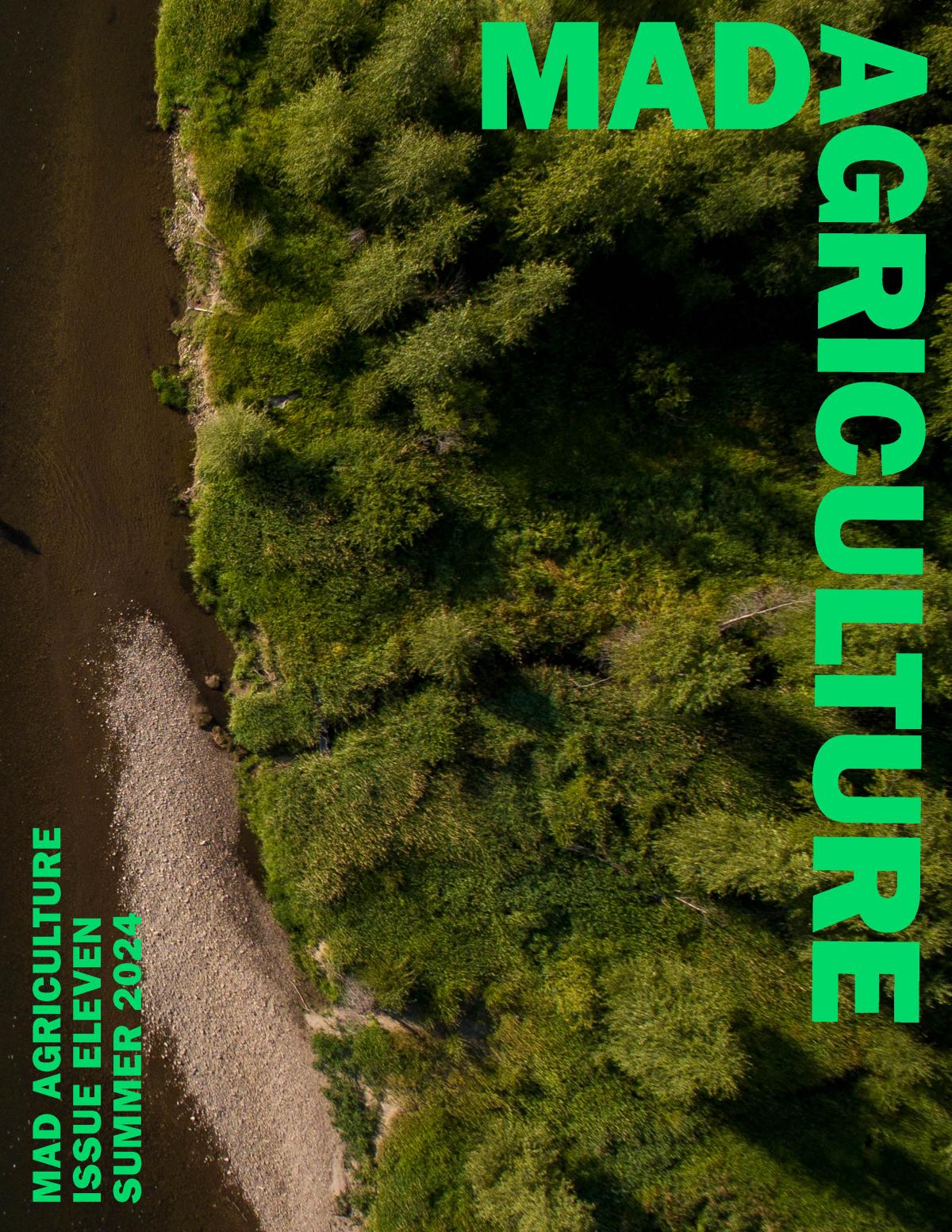 journal_issue_11_cover.jpg