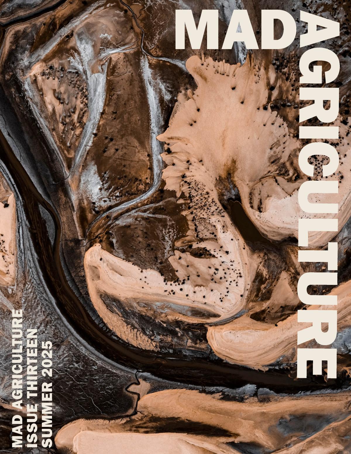 journal_issue_13_cover.jpg