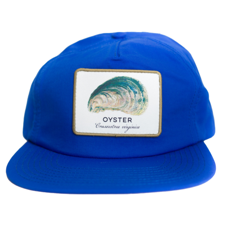oyster_blue_004.png