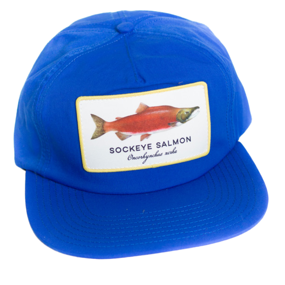 Salmon Hat