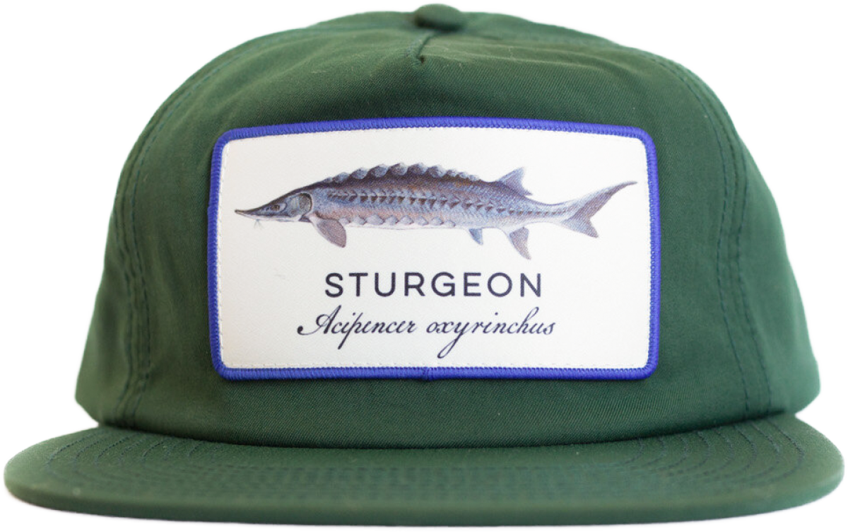 Sturgeon Hat 